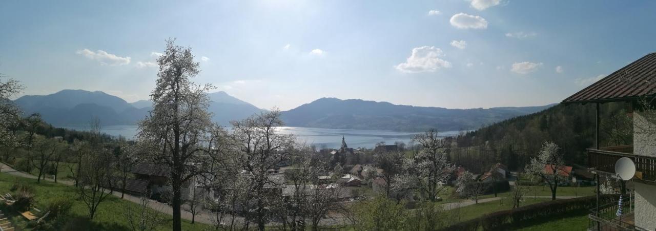 Attersee-Chalet Angermann Familie Spalt Steinbach am Attersee Eksteriør billede