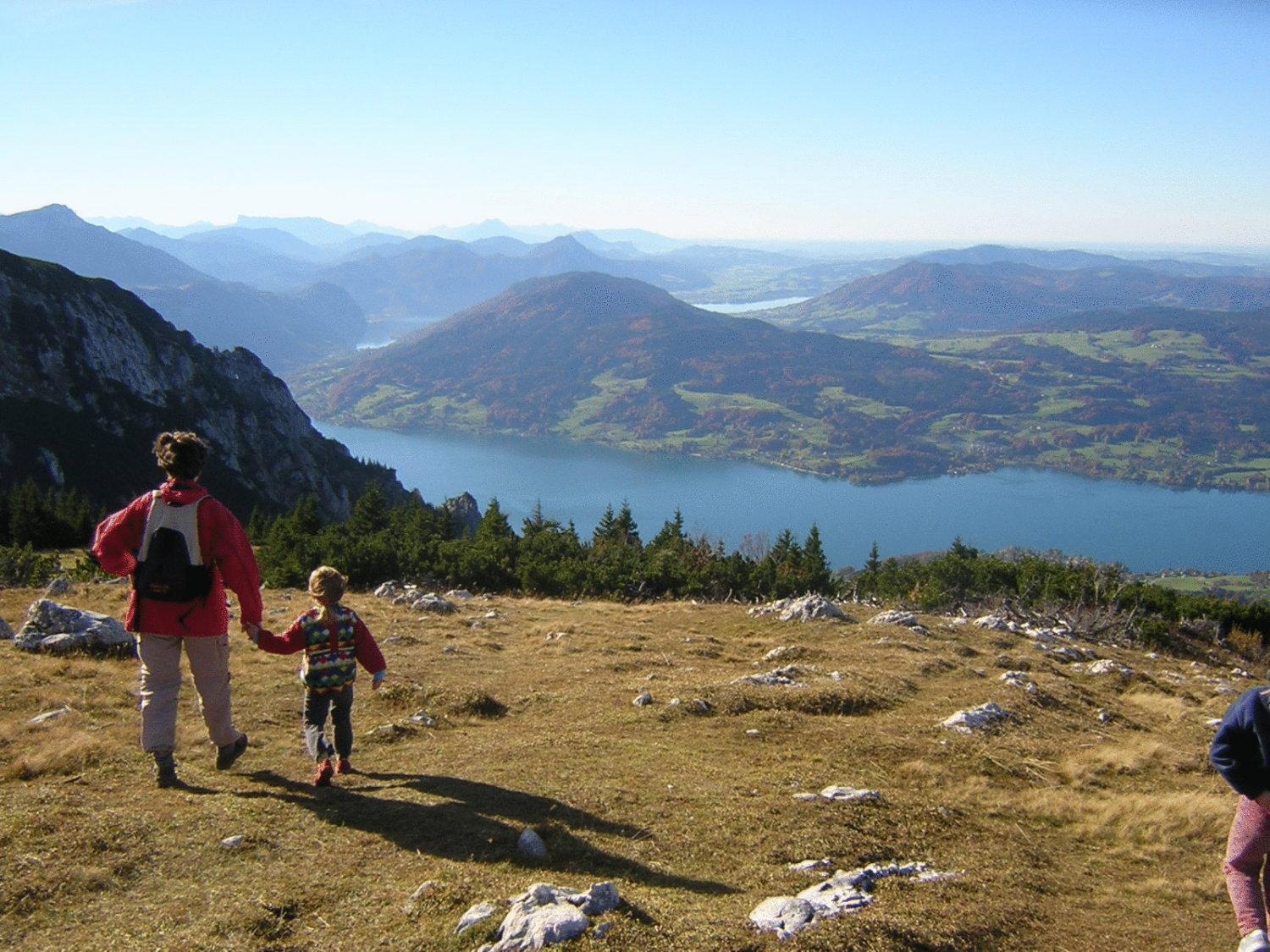 Attersee-Chalet Angermann Familie Spalt Steinbach am Attersee Eksteriør billede